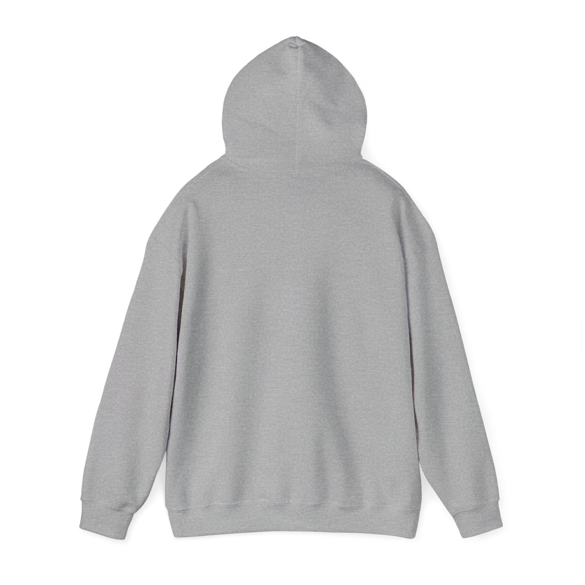 Divine Grace Hoodie Sweatshirt