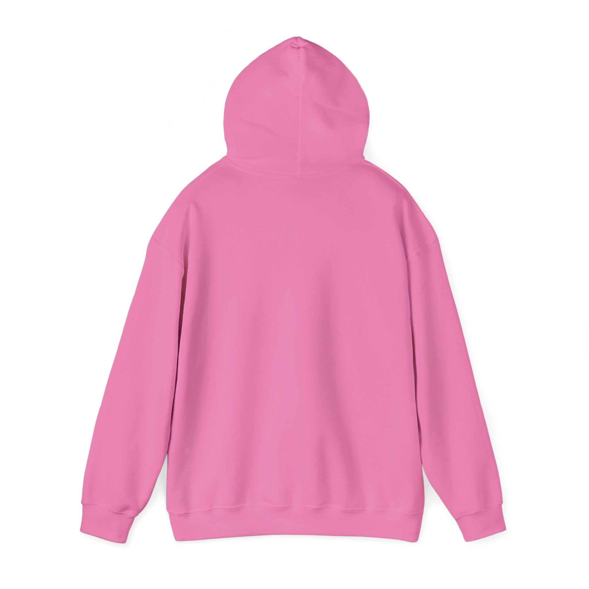 Divine Grace Hoodie Sweatshirt