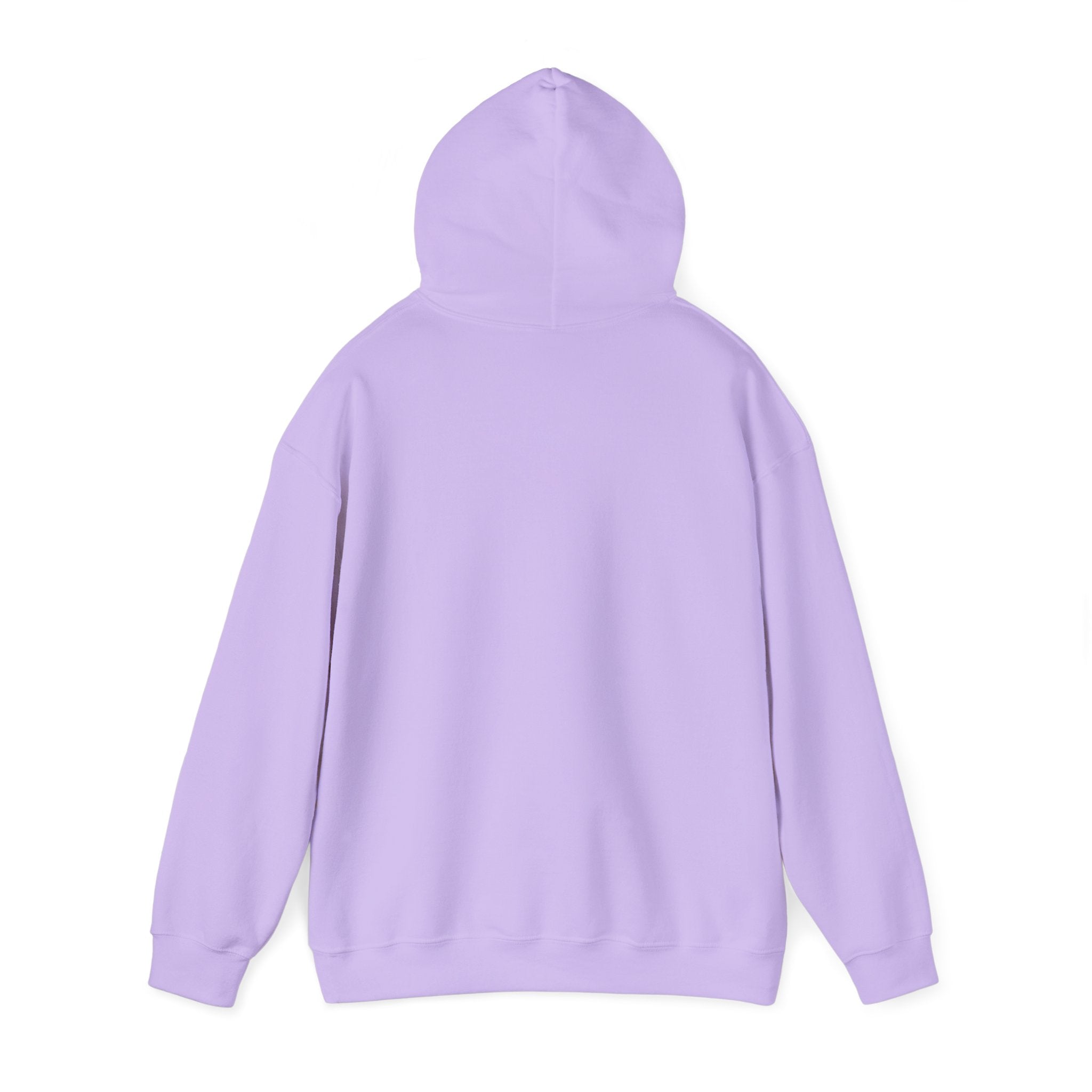 Divine Grace Hoodie Sweatshirt