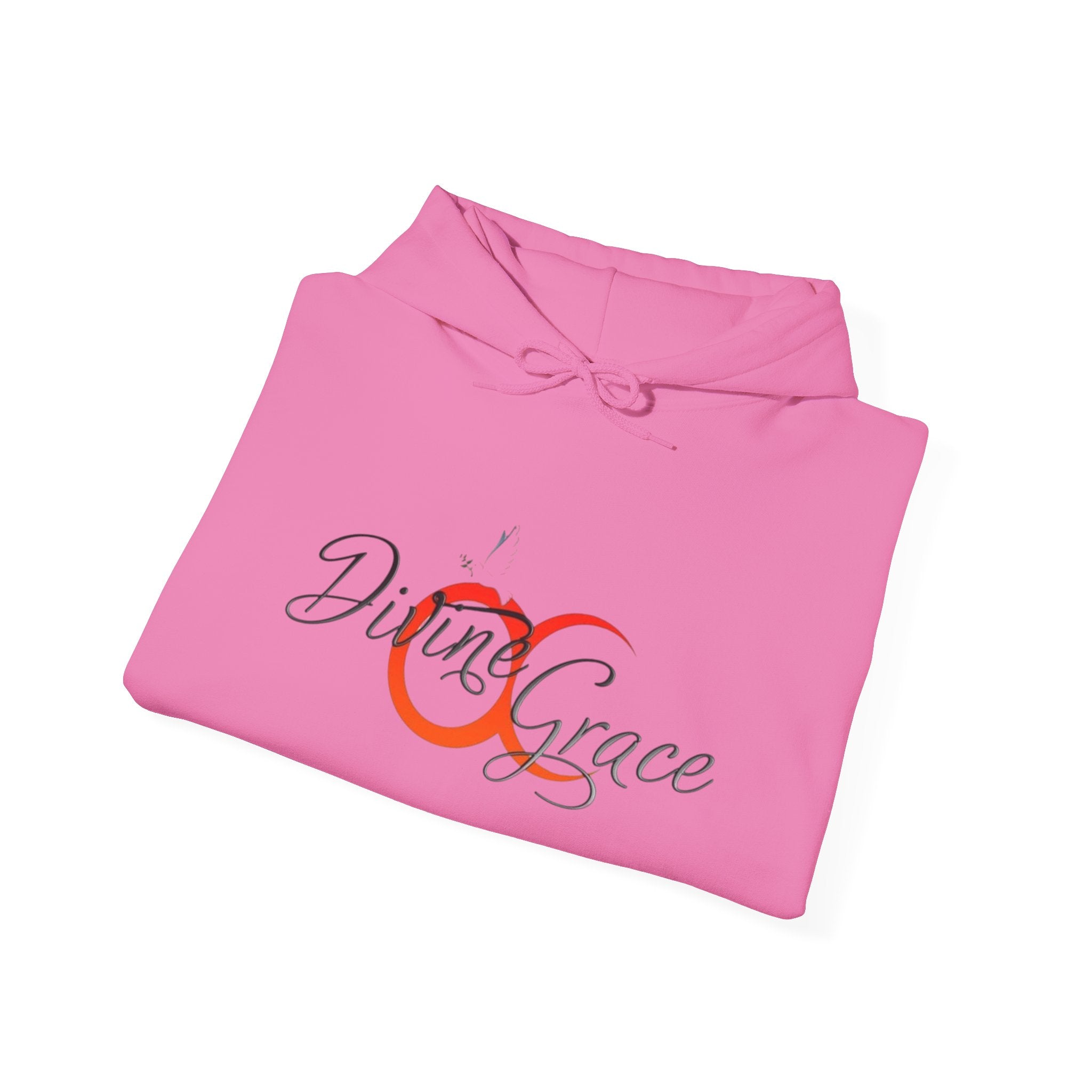 Divine Grace Hoodie Sweatshirt